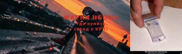 стаф Алексин