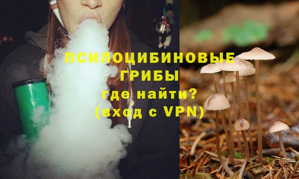 mdpv Пересвет
