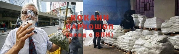 стаф Алексин