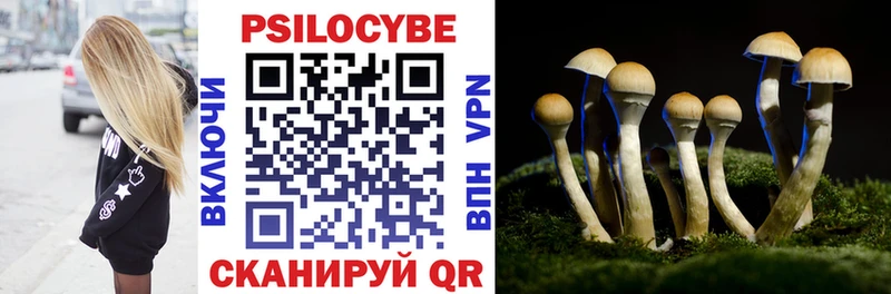 купить наркотик  Спасск-Рязанский  Псилоцибиновые грибы MAGIC MUSHROOMS 